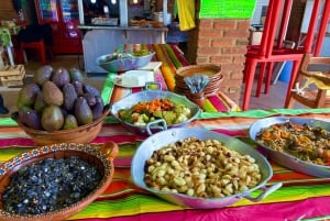 Mexico City: Guided Hike in the Dinamos Forest