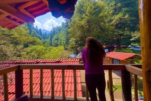 Mexico City: Guided Hike in the Dinamos Forest