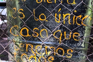 Ciudad de México: Caminata guiada en el Bosque de los Dinamos