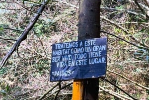 Ciudad de México: Caminata guiada en el Bosque de los Dinamos