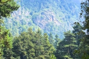 Ciudad de México: Caminata guiada en el Bosque de los Dinamos