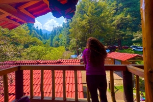 Ciudad de México: Caminata guiada en el Bosque de los Dinamos