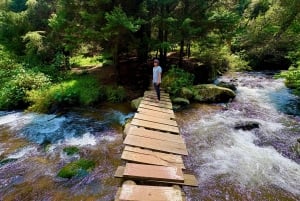 Ciudad de México: Caminata guiada en el Bosque de los Dinamos