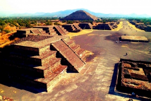 Mexico City: guided tour of Teotihuacan and Basilica of Guadalupe