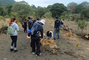 Ciudad De México: Tour Guiado Por Las Cuevas De Un Volcán Inactivo