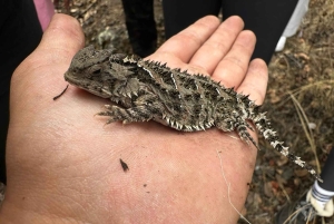 Ciudad De México: Tour Guiado Por Las Cuevas De Un Volcán Inactivo