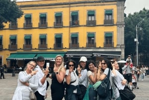 Mexico City: Guided walking tour through the most historic parts of the city.