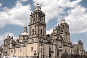 Mexico City: Guided walking tour through the most historic parts of the city.