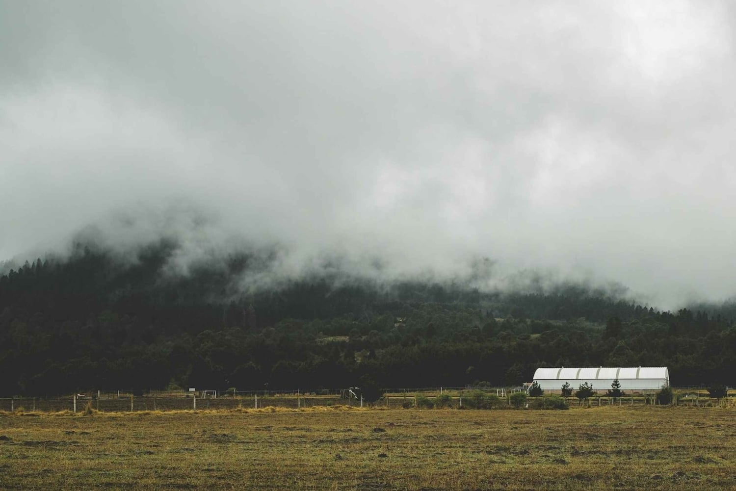 Caminata en la Ciudad de México: escala el pico más alto del Ajusco