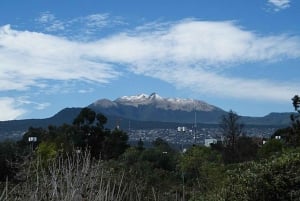 Mexico City Hike: Climb its Highest Peak of the Ajusco
