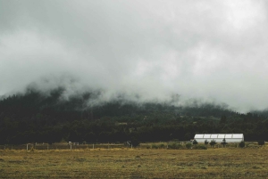 Caminata en la Ciudad de México: escala el pico más alto del Ajusco