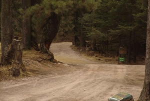 Caminata en la Ciudad de México: escala el pico más alto del Ajusco