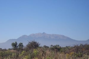 Excursión a Ciudad de México: Sube a su pico más alto con un guía local