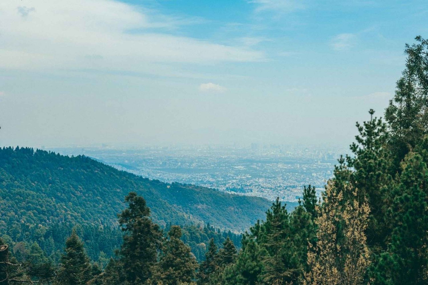 Excursión a Ciudad de México: Sube a su pico más alto con un guía local