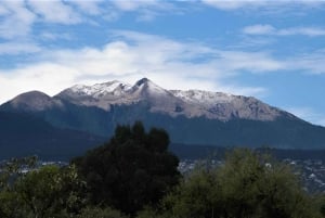 Excursión a Ciudad de México: Sube a su pico más alto con un guía local