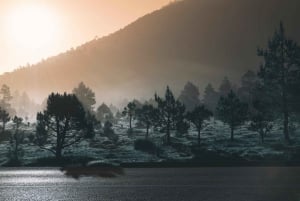 Excursión a Ciudad de México: Sube a su pico más alto con un guía local