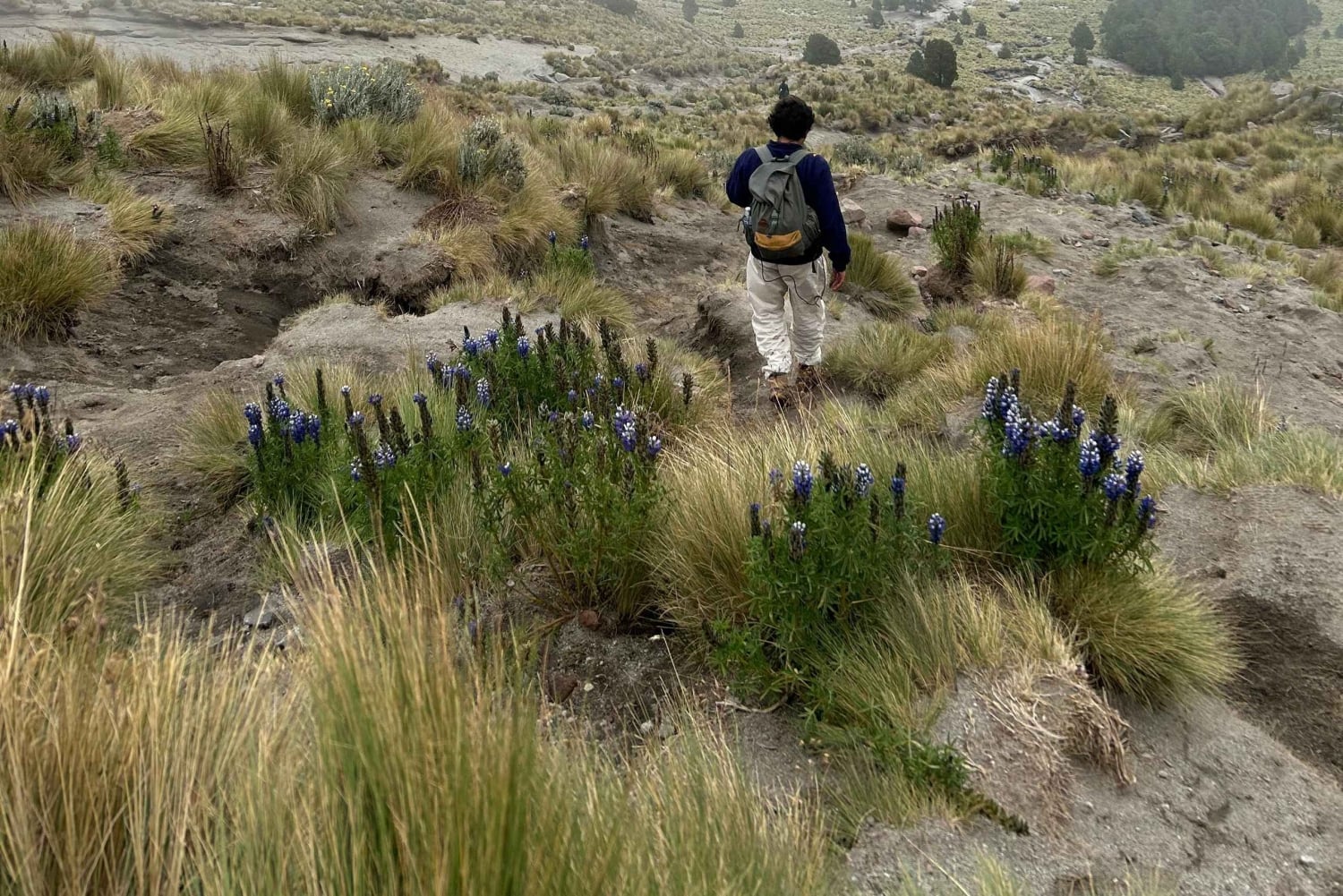 Mexico City: Hiking to la Malinche private day tour