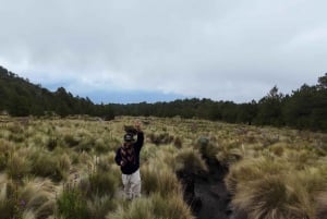 Mexico City: Hiking to la Malinche private day tour