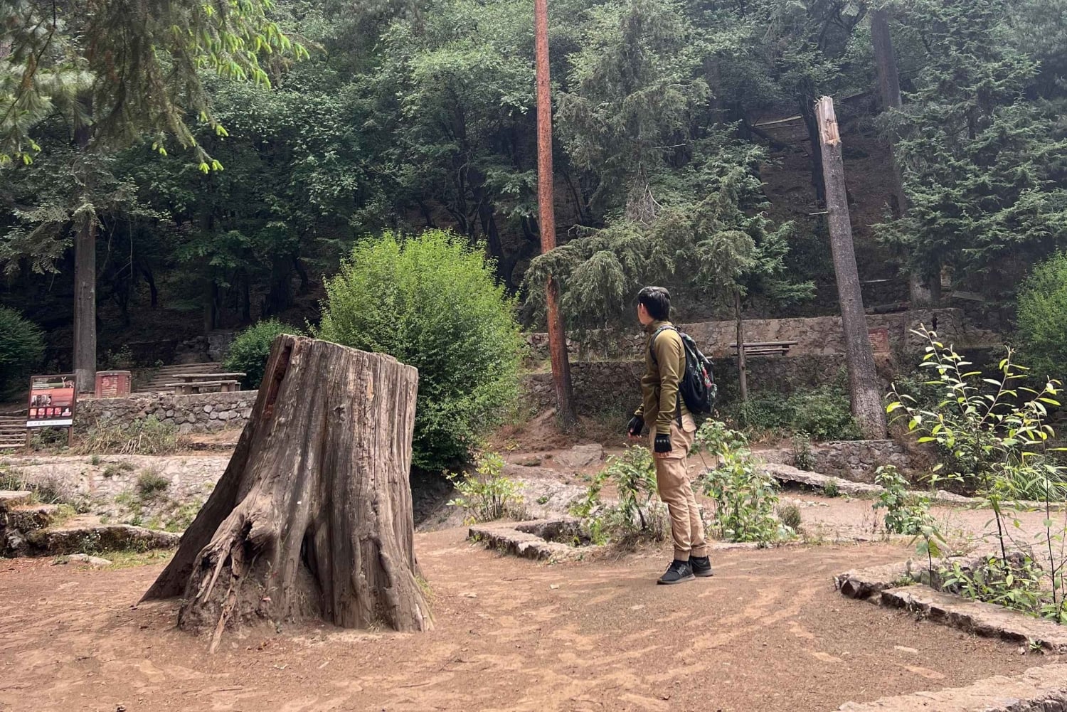 Mexico city: Hiking tour a Desierto de los leones