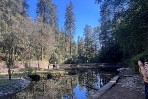 Ciudad de México: Hiking tour a Desierto de los leones