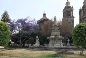 Mexico City: Historic Center VIP Tour with Templo Mayor …