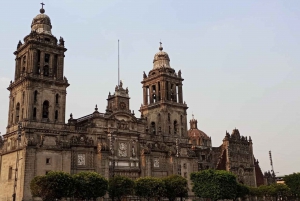 Ciudad de México: Tour a pie del Centro Histórico privado