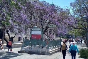 México City: History, and modern life in the capital