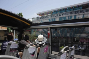 Mexico City: Hop-On Hop-Off Bus City Tour