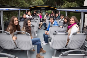 Mexico City: Hop-On Hop-Off Bus City Tour