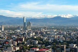 Ciudad de México: Tour con paradas libres y atracciones de la ciudad