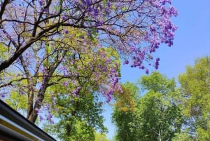 Mexico City: Hop-On Hop-Off Sightseeing Bus Tour