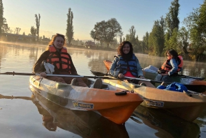 Xochimilco: amanecer en kayak Ciudad de México