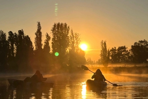 Xochimilco: amanecer en kayak Ciudad de México