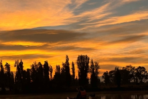 Xochimilco: amanecer en kayak Ciudad de México