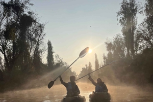 Xochimilco: amanecer en kayak Ciudad de México