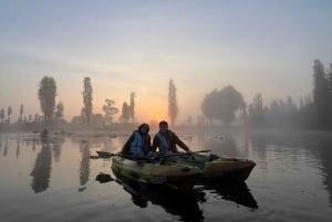 Xochimilco: amanecer en kayak Ciudad de México