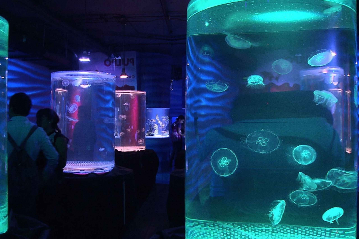 Mexico City: Inbursa Aquarium Tour with Transportation