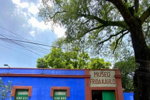 Mexico City: Intimate Frida Walking Tour & La Casa Azul.