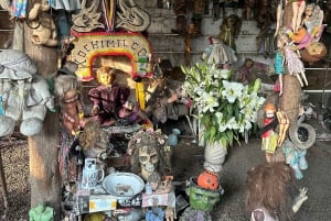 Mexico City: Island of the dolls transport