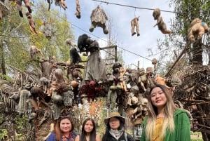 Xochimilco : Island of the dolls, tequila and mezcal CDMX