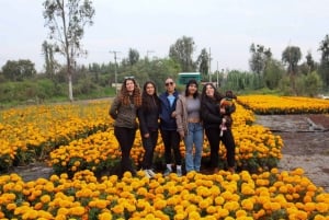 Mexico City: Kayak Experiences in Hidden Xochimilco