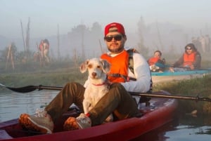 Mexico City: Kayak Experiences in Hidden Xochimilco
