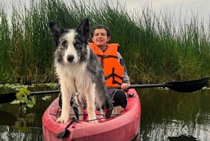 Mexico City: Kayak Experiences in Hidden Xochimilco