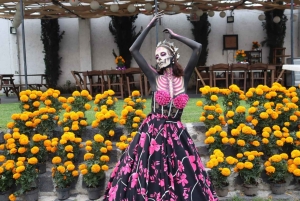 Mexico City: Kayak Experiences in Hidden Xochimilco