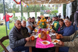 Mexico City: Kayak Experiences in Hidden Xochimilco