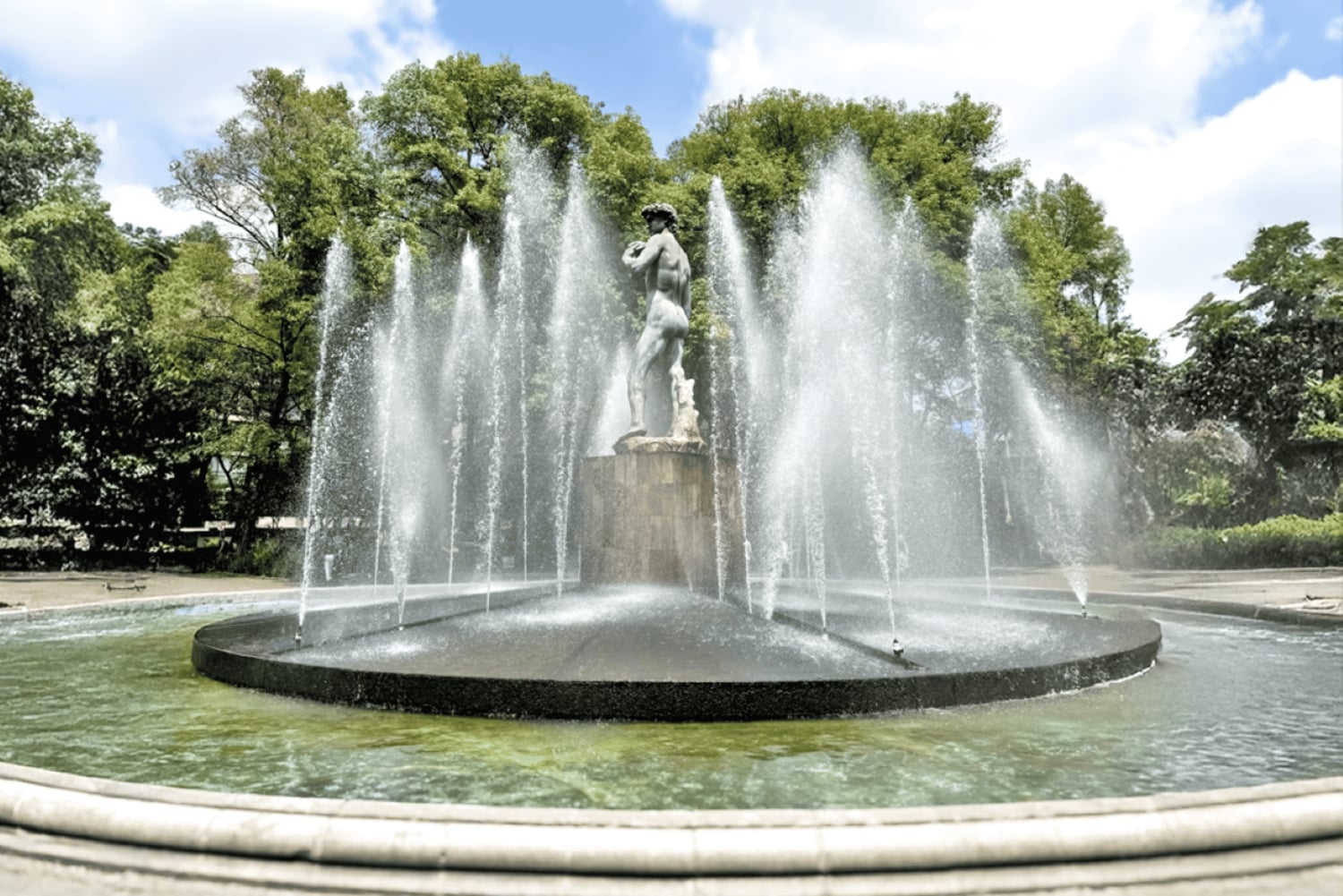 CDMX: Tour de La Roma y La Romita en Tuk Tuk