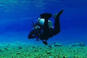 Ciudad de México: Tour Privado del Parque Natural de Las Estacas