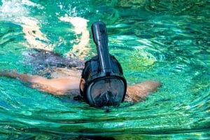 Mexico City: Las Estacas Natural Park Private Tour