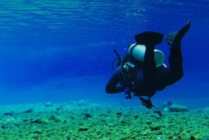 Mexico City: Las Estacas Natural Park Private Tour