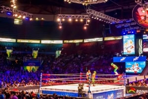 Mexico City: Lucha Libre Experience with a Journalist